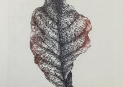 "Leaf v2", 2019, Acquaforte on Zinc, Colored Print on Magnani paper, 15 x 21cm
