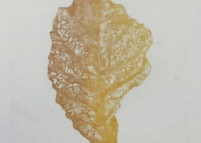 "Leaf", 2019, Softground on Zinc, Print on Magnani paper, 15 x 21cm