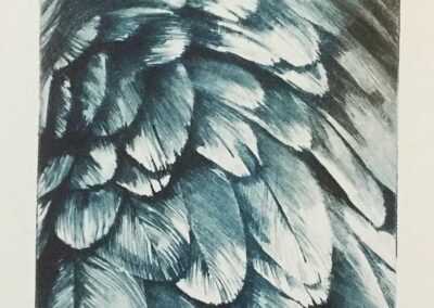 "Feathers in BlueBlack"2020, Colored Drypoint, Print on Fabrianno paper, 15 x 10cm