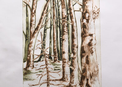 "Scenery1", 2019, Colored Drypoint, 29.5x67cm
