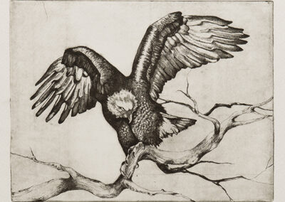 "Eagle", 2018, Acquatinta and Acquaforte on Coper, Print on Acquarella paper, 15 x 20cm