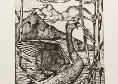 "Swan", 2018, Acquatinta and Acquaforte on Coper, Print on Acquarella paper, 15 x 20cm