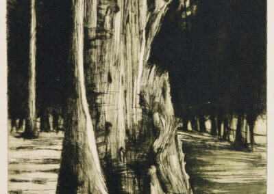 "Broken Tree",2019, Colored Drypoint, Print on Fabrianno paper, 28.6 x 38cm
