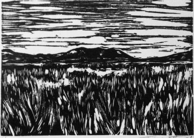 "Mount Varasova", Engraving on Linoleum, 15x 20 cm, 2021