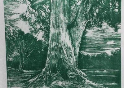 "Eucalyptus", Woodcut, 40 x 40cm, 2021